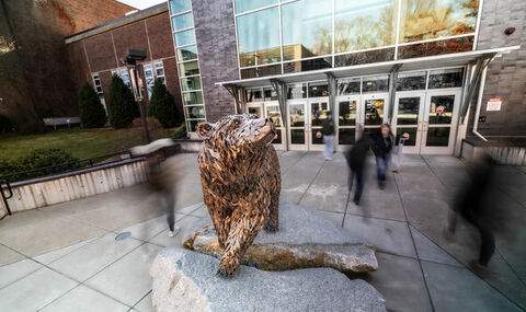 Bear Statue