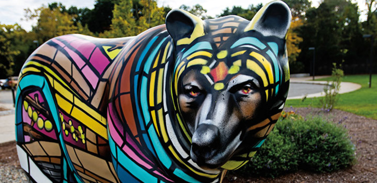 Bears in the Wild Bridgewater State University