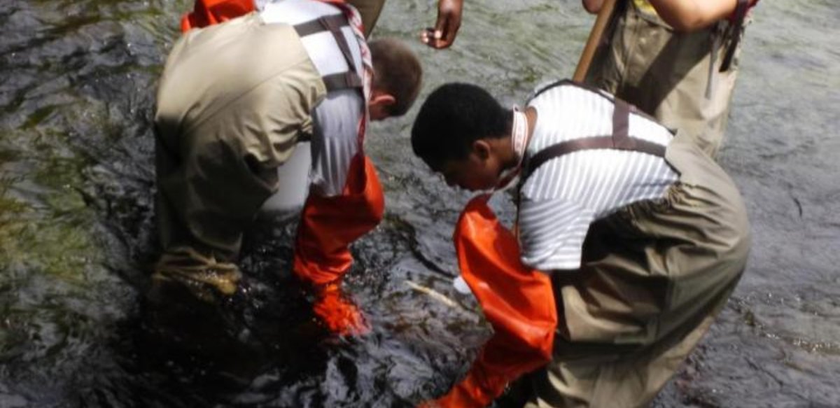 Students working in the river