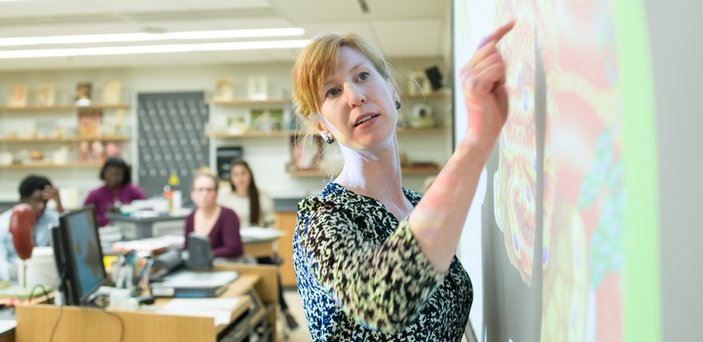 Professor pointing to overhead screen in class