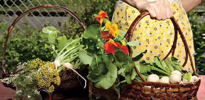 Table of Harvested Items