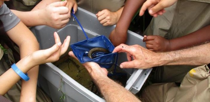 Checking out a macroinvertebrate from the river