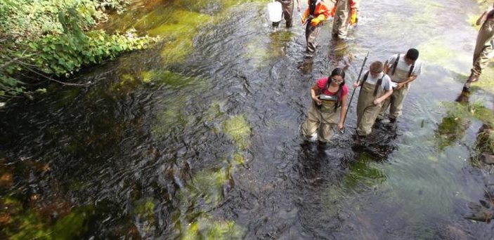 Watershed teachers exploring local stream water quality