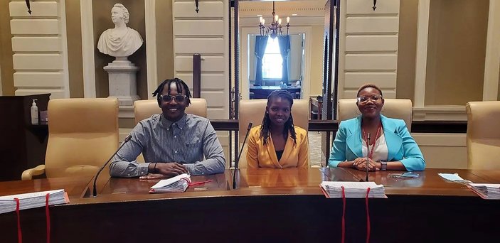 Three Mandela fellows sit in legislators' seats at the Massachusetts Statehouse.