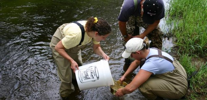 Watershed teachers sampling stream macroinvertebrates for site comparisons of biotic indices