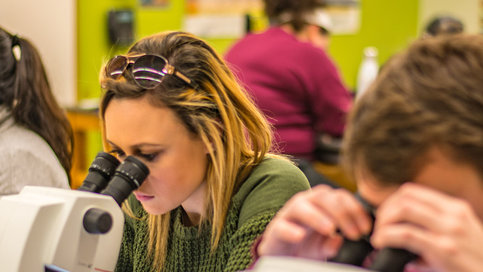 Three forensic geology students peering into microscopes