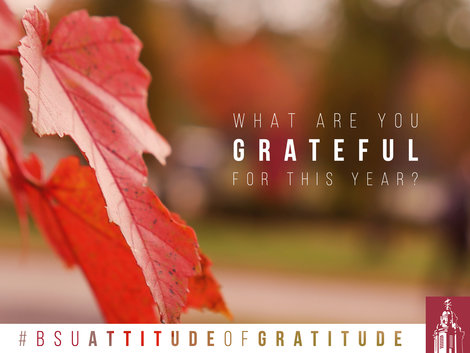 What are you grateful for graphic What are you grateful for graphic