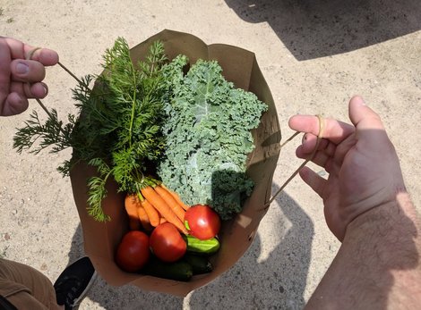 A bag of vegetables being delivered via FarmThrift service A bag of vegetables being delivered via FarmThrift service