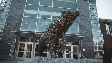 Bronze bear statue