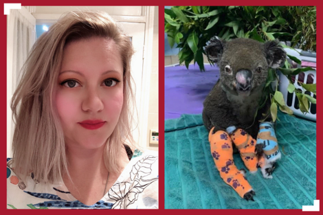 Australian native and BSU alumna Melany Heather (Ferber) Stoppenbach is organizing a fundraiser to help wildlife affected by the Australian fires.