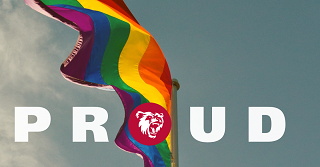 Flag photo with bear logo