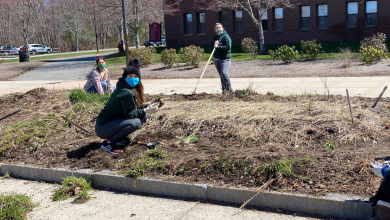 Interns working in garden