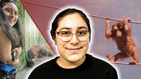 Mia Sarkisian, '19 smiles at camera with orangutan behind her and an image of her working with orangutan on other side