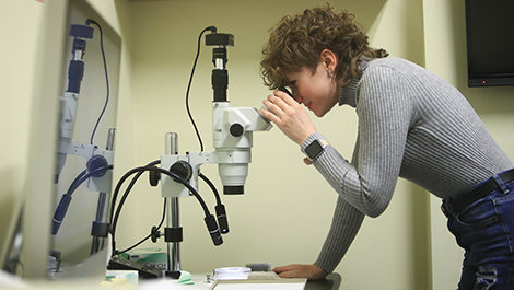 Cassandra Hartsgrove studies rat brain tissue using a microscope.