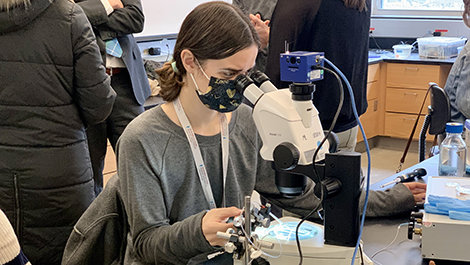 Alexis Anzalone sits at a lab table and looks in a microscope.