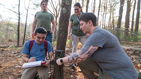 Students and a professor attach a camera to a tree in the woods.