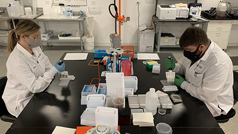 Rachel Toews and Austin Gouveia work at a lab table conducting tests.