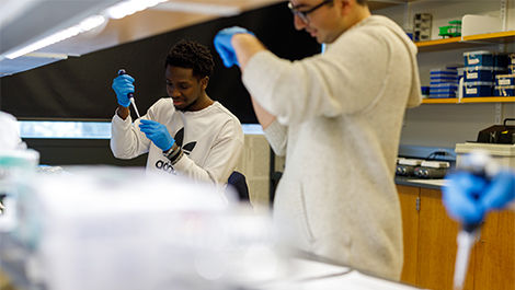 Two students use pipettes in a biology lab.