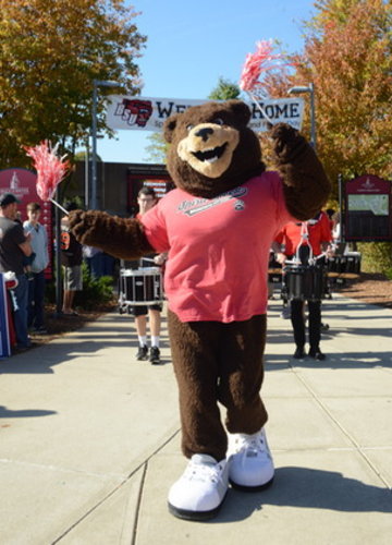 Bristaco the Bear waving tassels while leading the BSU marching band on campus