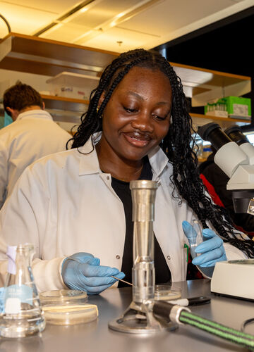 a student conducting undergraduate research in the biology lab